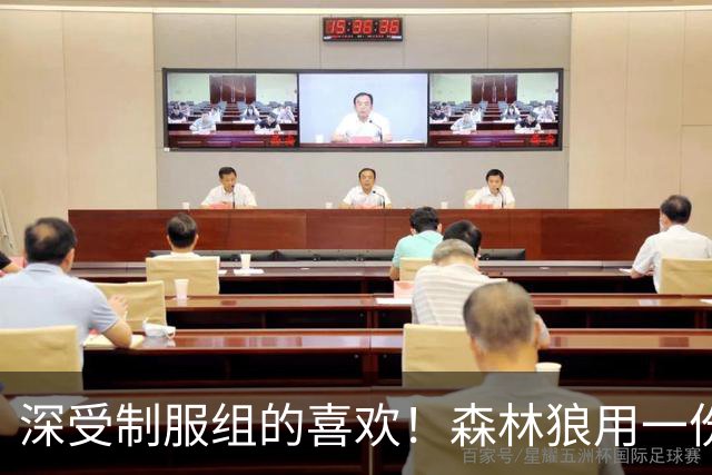 深受制服组的喜欢！森林狼用一份双向合同签回了这位锋线球员？